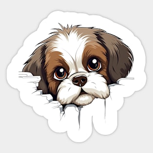 Baby Shih Tzu Dog Peeking Sticker